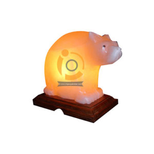 Himalayan Bear Shape Salt Lamp