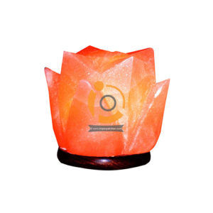 Himalayan Flower Shape Salt Lamp