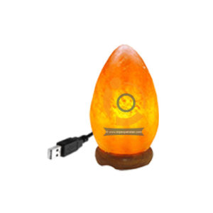 Himalayan Salt Egg Shape Mini Usb Lamp