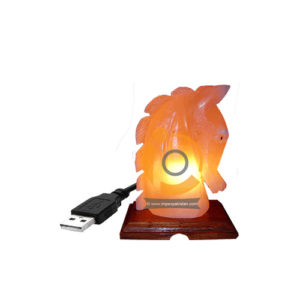 Himalayan Salt Horse Head Shape Mini Usb Lamp