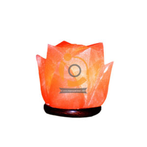 Himalayan Salt Lilly Flower Shape Mini Usb Lamp