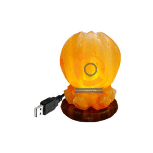 Himalayan Salt Lotus Shape Mini Usb Lamp