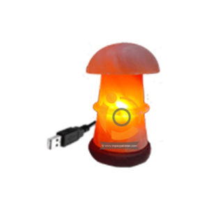 Himalayan Salt Mushroom Shape Mini Usb Lamp