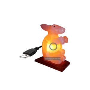 Himalayan Salt Rabbit Shape Mini Usb Lamp