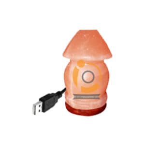 Himalayan Salt Vass Shape Mini Usb Lamp